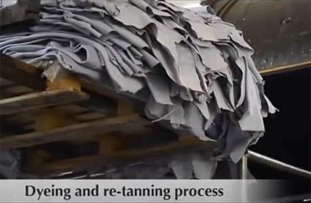 Leather Tanning Process How Leather Is Made Leather Tanning Process How Leather Is Made